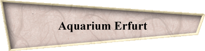 Aquarium Erfurt