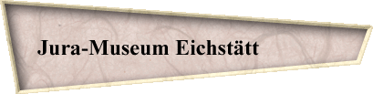 Jura-Museum Eichsttt              