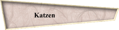Katzen                 