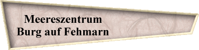 Meereszentrum                         
 Burg auf Fehmarn                          