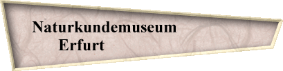 Naturkundemuseum                  
Erfurt                             