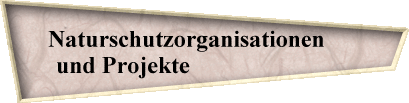 Naturschutzorganisationen      
und Projekte                           