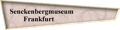 Senckenbergmuseum                     
Frankfurt                        