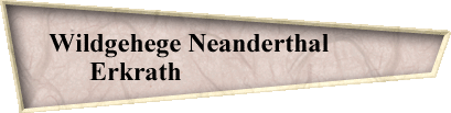 Wildgehege Neanderthal           
   Erkrath                              