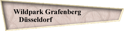 Wildpark Grafenberg                
Dsseldorf                             
