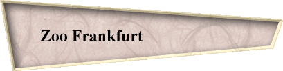 Zoo Frankfurt                        