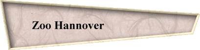 Zoo Hannover                      