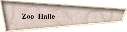 Zoo  Halle                           
