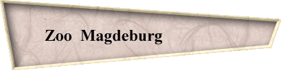 Zoo  Magdeburg                  