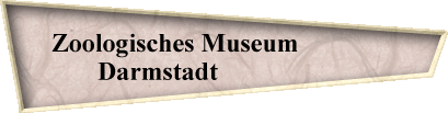 Zoologisches Museum               
Darmstadt                    